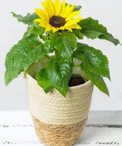 Sunflower Flowering Plant Vase Diamond Painting