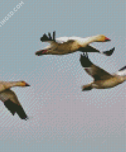 Three Geese Flying Diamond Painting