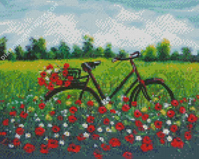 Bike In Field Diamond Painting