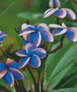 Blue Plumeria Flowers Diamond Painting