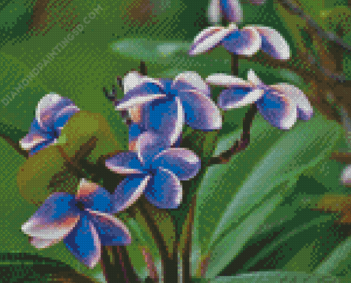 Blue Plumeria Flowers Diamond Painting