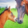 Brown Mare Horse And Foal Diamond Painting