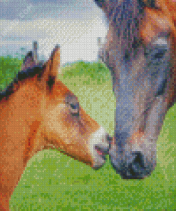 Brown Mare Horse And Foal Diamond Painting