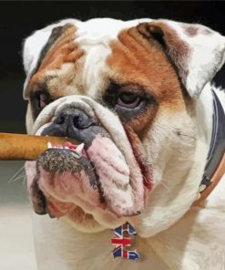 Bulldog Smoking Cigar Diamond Painting