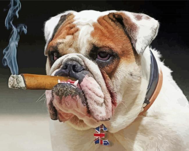 Bulldog Smoking Cigar Diamond Painting