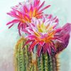 Cactus And Flowers Art Diamond Painting