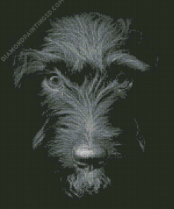 Close up Patterdale Terrier Dog Diamond Painting
