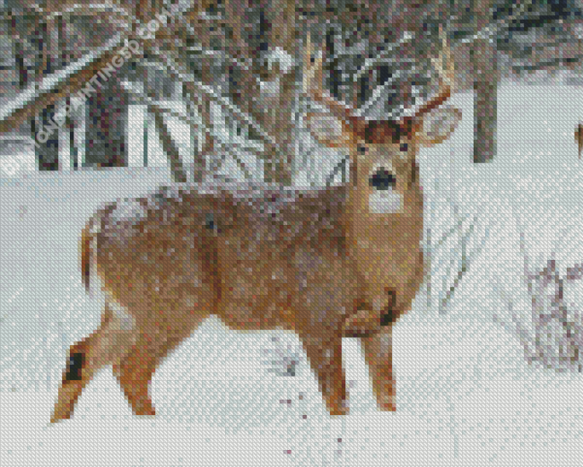 Deer In Snow Diamond Painting
