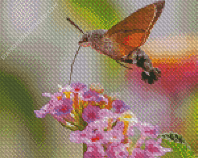 Hummingbird Hawk Moth Diamond Painting