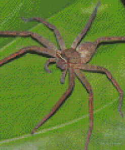 Huntsman Spider On Leaf Diamond Painting
