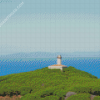 Isola Del Giglio Lighthouse Diamond Painting