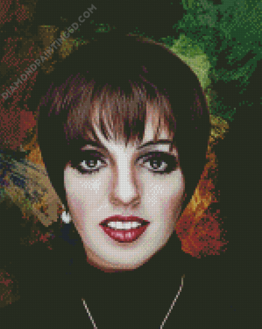 Liza Minnelli Diamond Painting