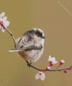 Long Tailed Tit On a Tree Diamond Painting