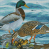 Mallard Ducks Diamond Painting