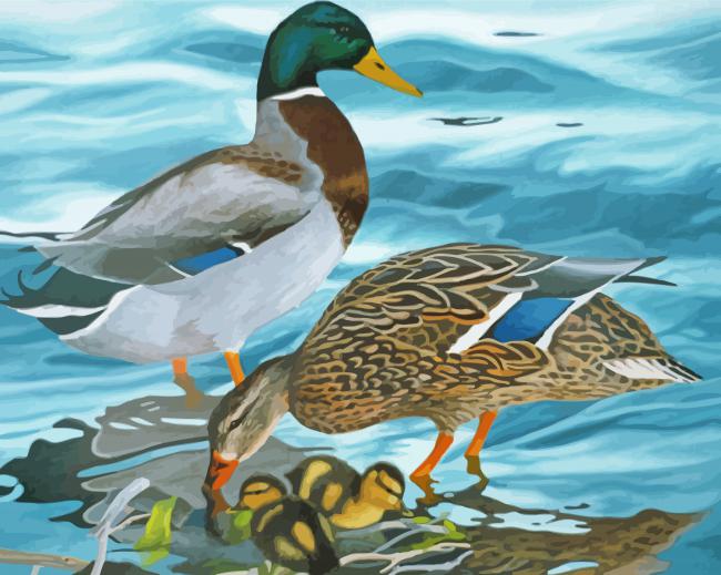Mallard Ducks Diamond Painting