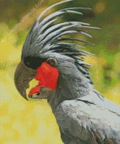 Palm Cockatoo Bird Diamond Painting