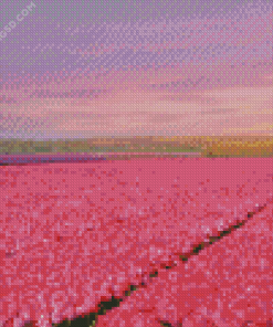 Pink Field Diamond Painting