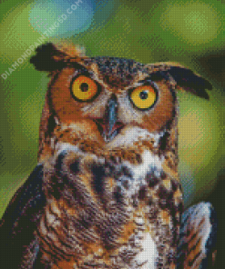 Screech Owl Diamond Painting