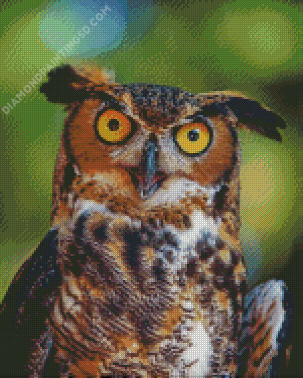 Screech Owl Diamond Painting