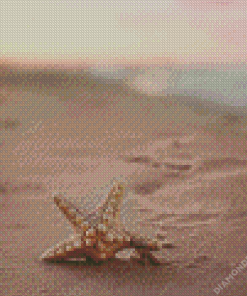 Starfish On Beach Diamond Painting