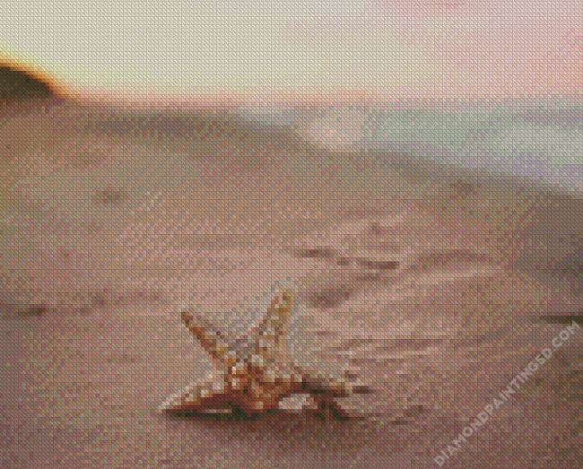 Starfish On Beach Diamond Painting