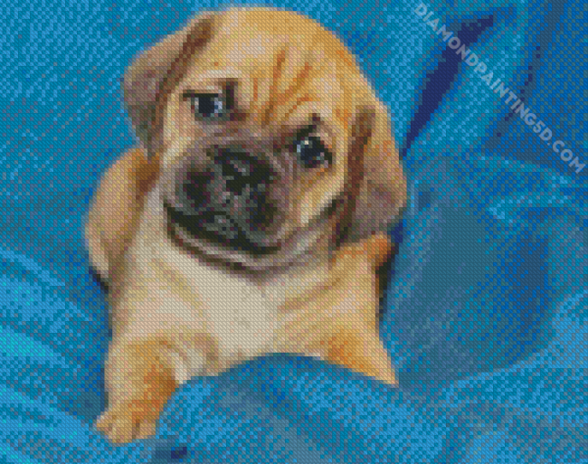 The Puggle Puppy Dog Diamond Painting