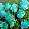 Turquoise Flowers Roses Diamond Painting