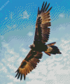 Wedge Tailed Eagle Wings Diamond Painting