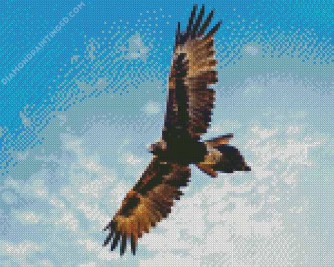 Wedge Tailed Eagle Wings Diamond Painting