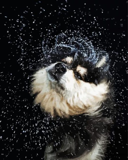 Wet Dog Shaking Diamond Painting