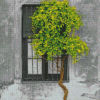 Window Tree Diamond Painting
