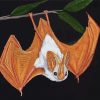 Winged Bat Art Diamond Painting