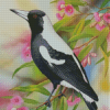 Australian Magpie And Flowers Diamond Painting