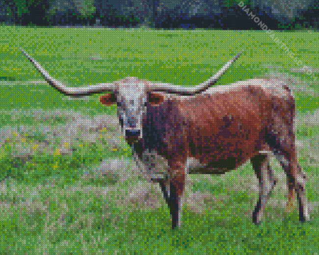 Brown Long Horn Bull Diamond Painting