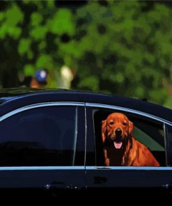 Brown Dog And Car Diamond Painting