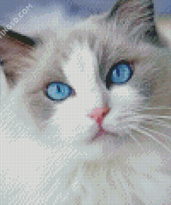Cat With Blue Eyes Diamond Painting
