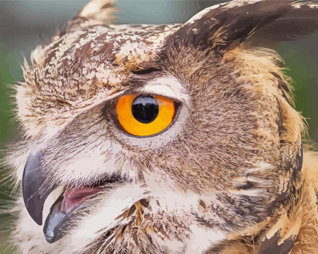 Close Up Fierce Owl Diamond Painting