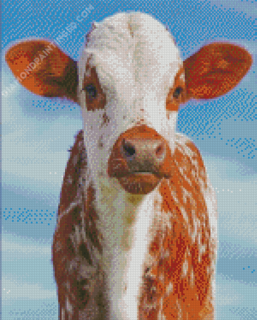 Cute Texas Cattle Diamond Painting