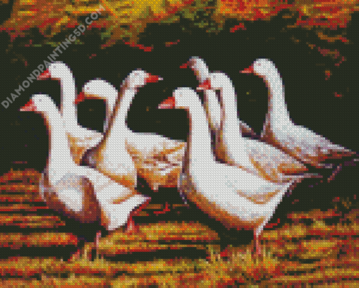 Danish Geese In The Garden Diamond Painting