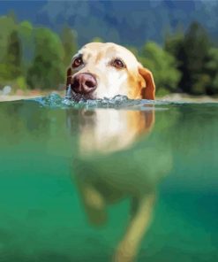 Dog Swimming In Water Diamond Painting