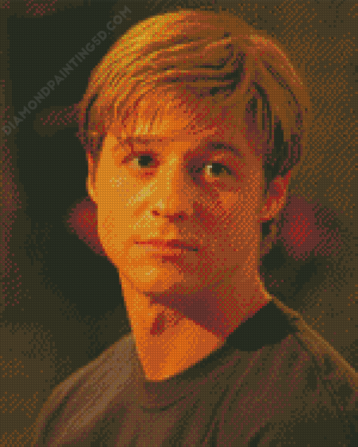 Newport Beach Ryan Atwood Diamond Painting