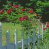 White Picket Fence With Roses Diamond Painting
