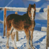Winter Horse Foal Diamond Painting