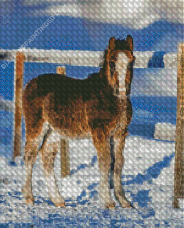 Winter Horse Foal Diamond Painting