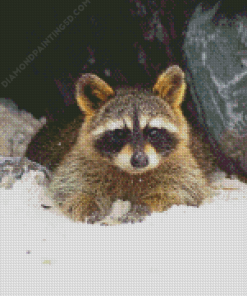 Winter Snow Raccoon Diamond Painting