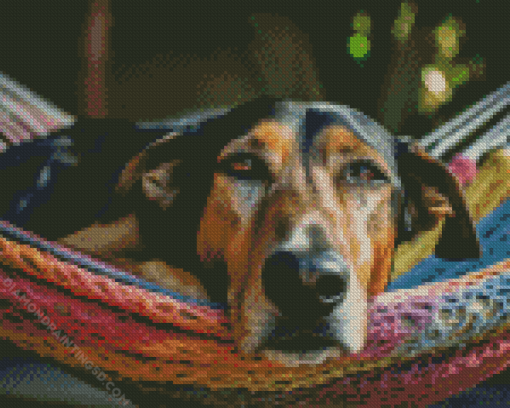 Beagle Dog On Hammock Diamond Painting