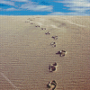 Footprints in Sand Diamond Painting