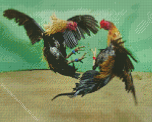 Rooster Fighting Diamond Painting