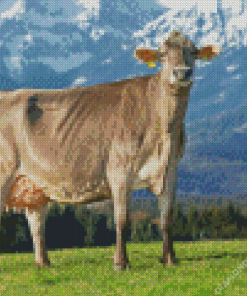 Swiss Cow Diamond Painting
