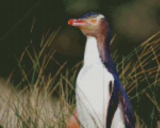 Yellow Eyed Penguin Diamond Painting